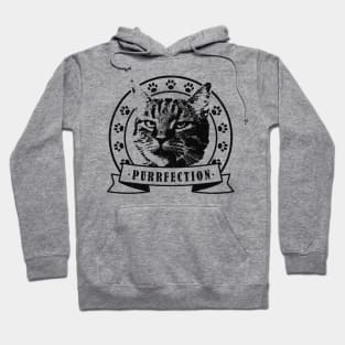 Vintage cat purrfection Hoodie